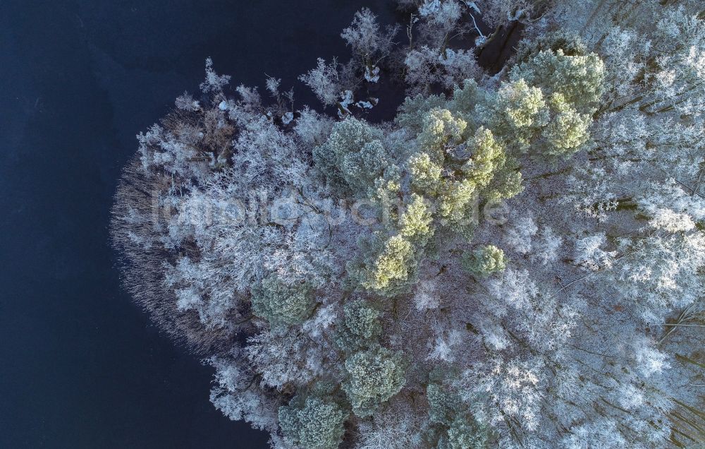 Treplin aus der Vogelperspektive: Winterluftbild Baumspitzen in einem Waldgebiet in Treplin im Bundesland Brandenburg, Deutschland