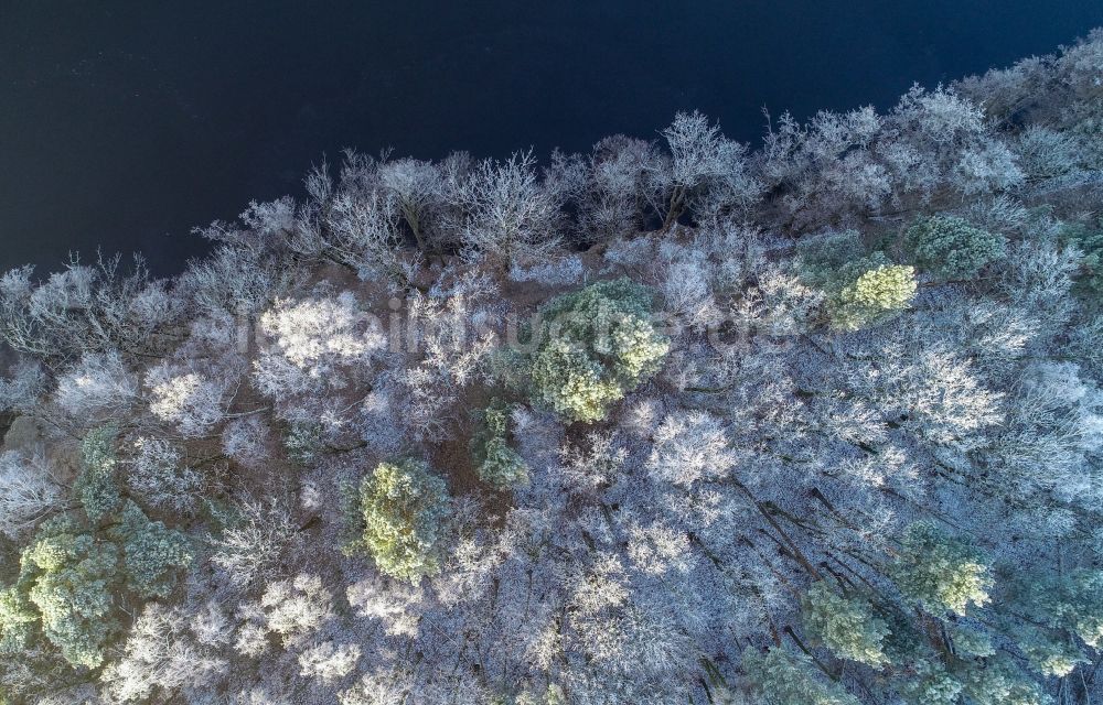 Treplin von oben - Winterluftbild Baumspitzen in einem Waldgebiet in Treplin im Bundesland Brandenburg, Deutschland
