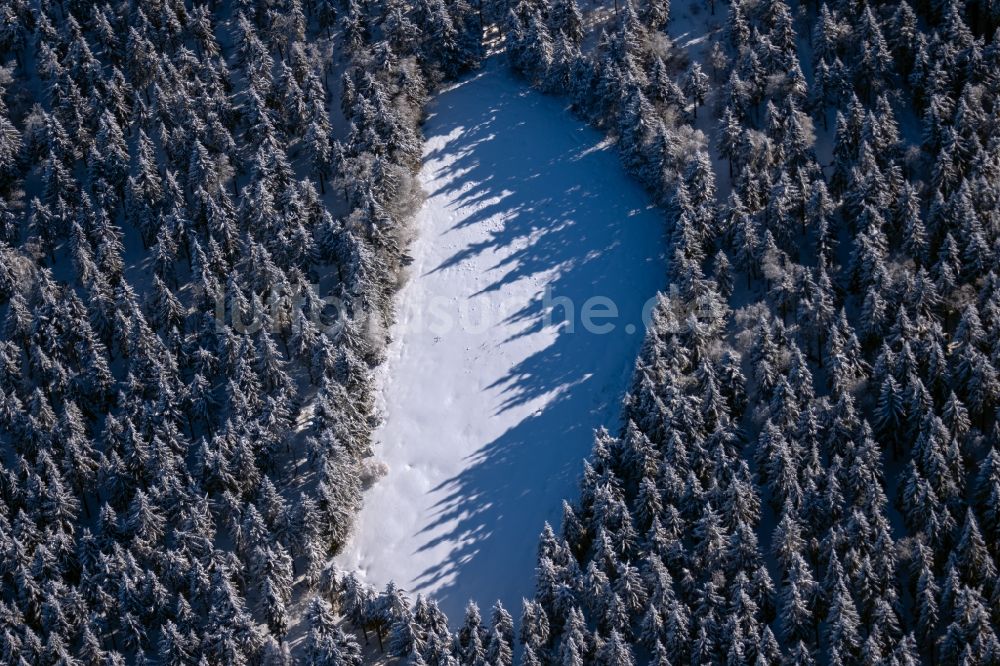 Burkardroth von oben - Winterluftbild Baumspitzen in einem Waldgebiet mit Wiese und Lichtung in Burkardroth im Bundesland Bayern, Deutschland