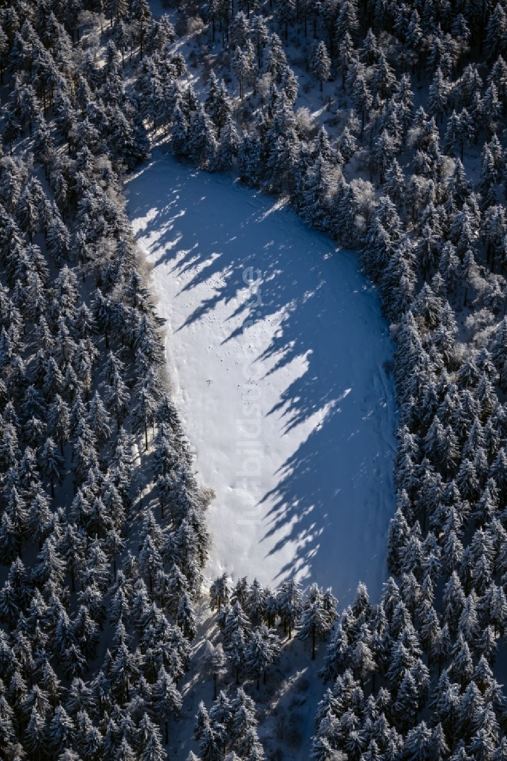 Luftbild Burkardroth - Winterluftbild Baumspitzen in einem Waldgebiet mit Wiese und Lichtung in Burkardroth im Bundesland Bayern, Deutschland