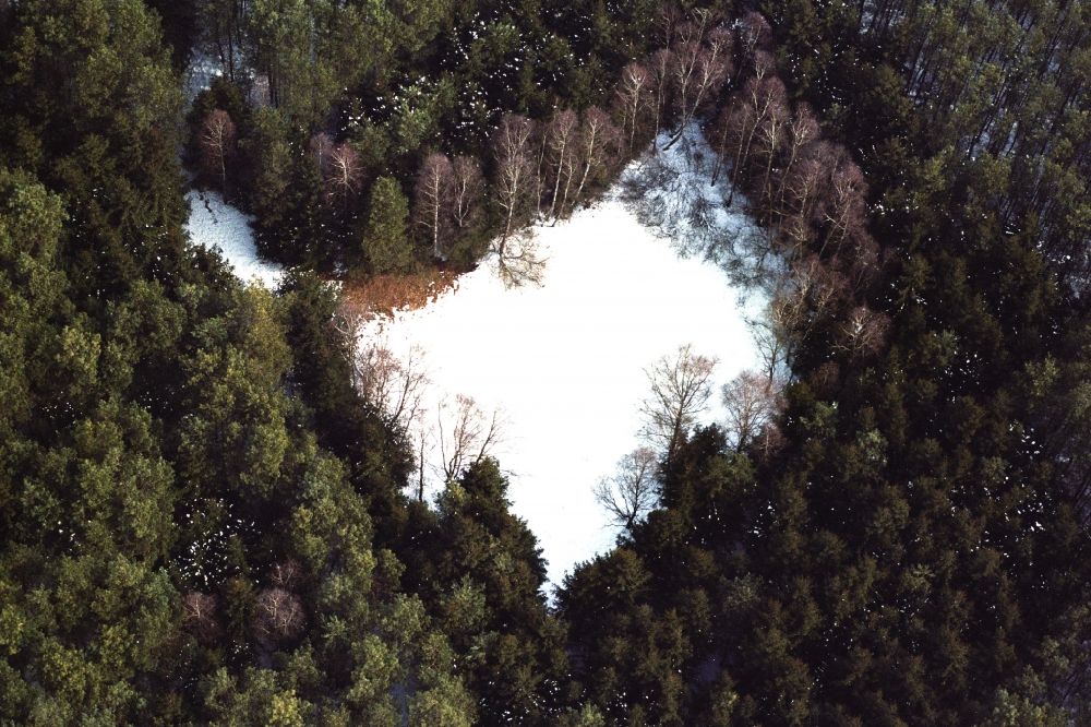 Grünheide (Mark) aus der Vogelperspektive: Winterluftbild mit Baumspitzen und Schneefläche in einem Waldgebiet in Grünheide (Mark) im Bundesland Brandenburg, Deutschland