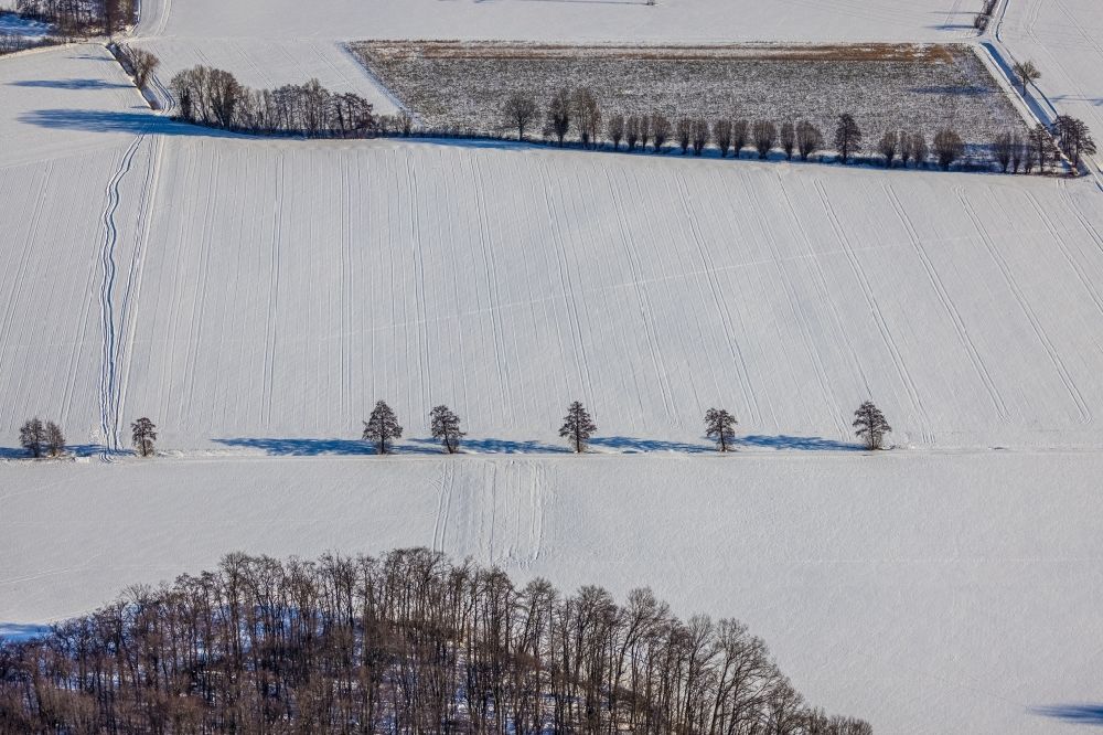 Luftbild Osttünnen - Winterluftbild Bäume auf einem schneebedeckten Feld bei Osttünnen im Bundesland Nordrhein-Westfalen, Deutschland