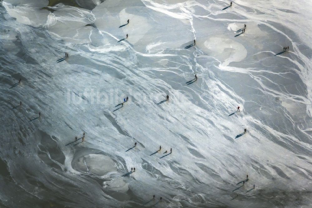 Luftbild Münster - Winterluftbild Eis- Spaziergänger auf dem zugefrorenen Seeoberfläche des Aasee in Münster im Bundesland Nordrhein-Westfalen, Deutschland