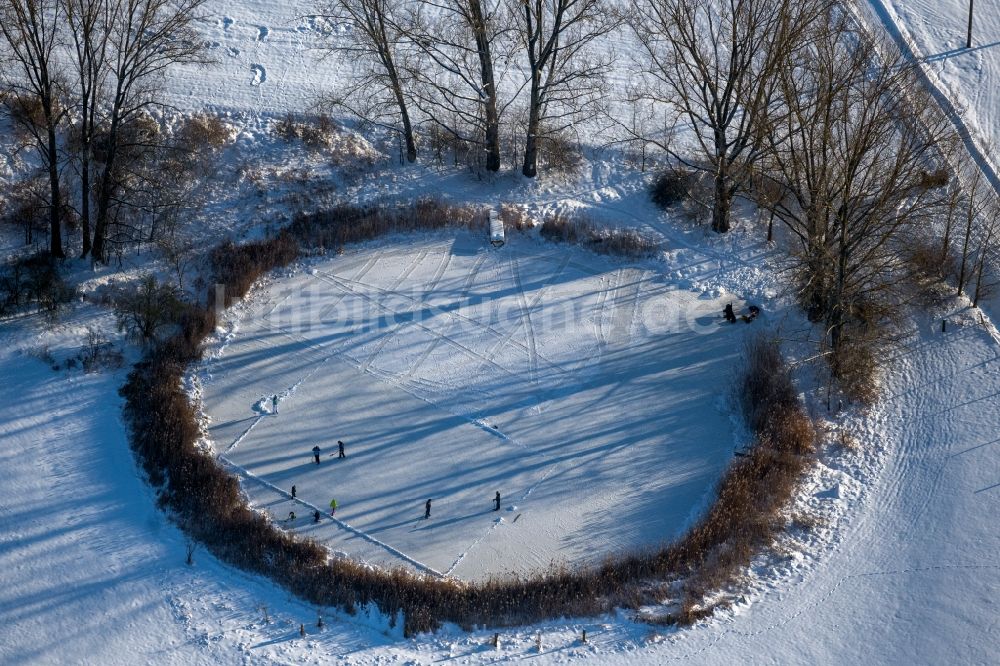 Südharz von oben - Winterluftbild Eis- Spaziergänger auf dem zugefrorenen Seeoberfläche Der kleine See mit Eishockey - Spielern in Südharz im Bundesland Sachsen-Anhalt, Deutschland
