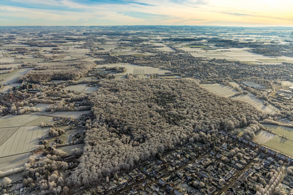 Luftbild Hamm - Winterluftbild Forstgebiete in einem Waldgebiet in Hamm im Bundesland Nordrhein-Westfalen, Deutschland