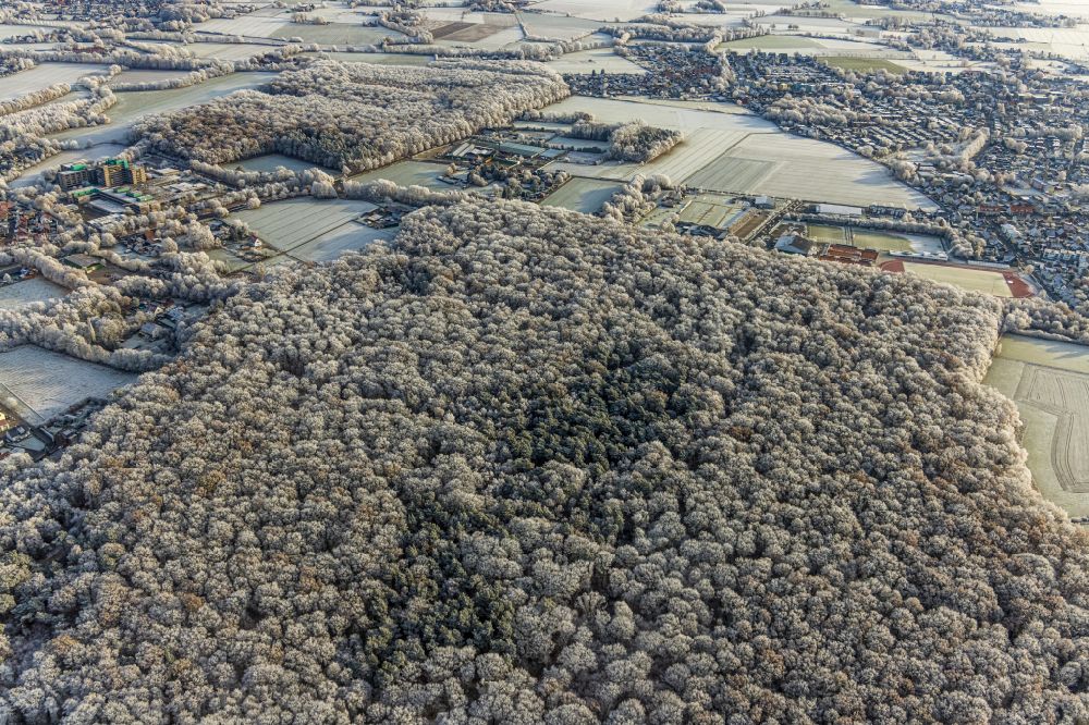 Luftaufnahme Hamm - Winterluftbild Forstgebiete in einem Waldgebiet in Hamm im Bundesland Nordrhein-Westfalen, Deutschland