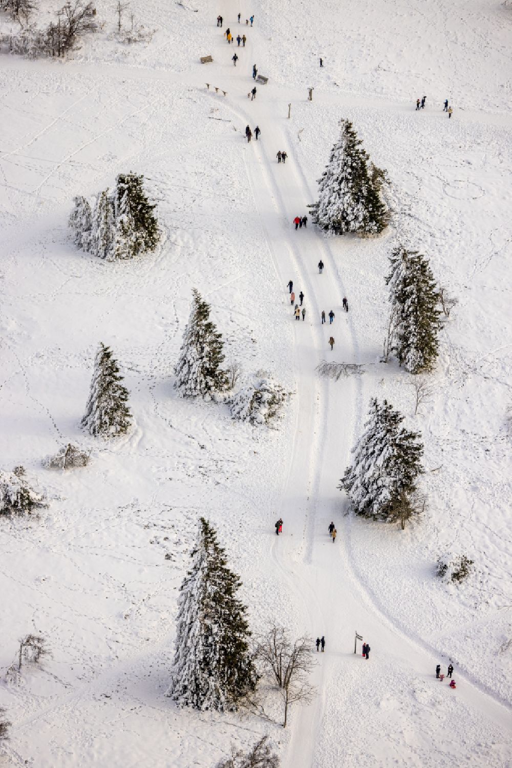 Luftaufnahme Schmallenberg - Winterluftbild Forstgebiete in einem Waldgebiet in Schmallenberg im Bundesland Nordrhein-Westfalen, Deutschland