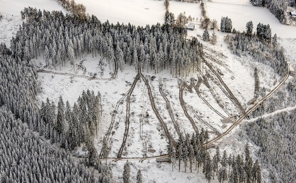 Schmallenberg aus der Vogelperspektive: Winterluftbild Forstgebiete in einem Waldgebiet in Schmallenberg im Bundesland Nordrhein-Westfalen, Deutschland