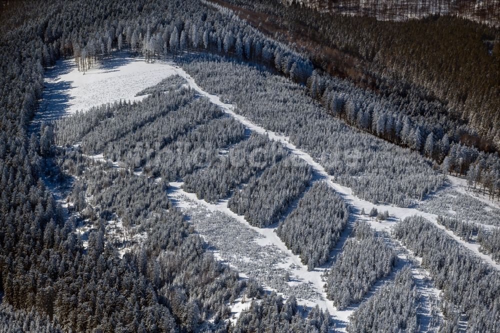 Luftbild Lenneplätze - Winterluftbild Geometrische Formen der Baumanpflanzung in einem Waldgebiet in Lenneplätze im Bundesland Nordrhein-Westfalen, Deutschland