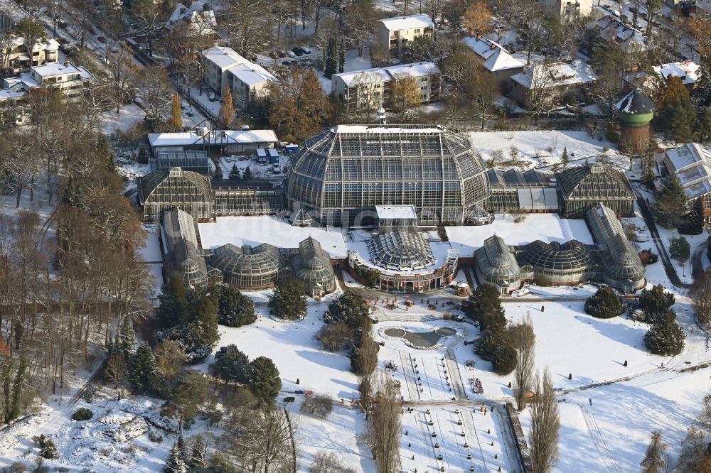 Berlin von oben - Winterluftbild Hauptgebäude und Gewächshäuser- Komplex im Botanischen Garten Berlin-Dahlem in Berlin