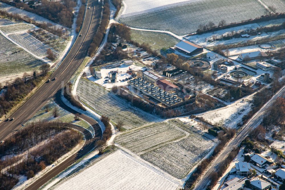Insheim aus der Vogelperspektive: Winterluftbild Kühlanlagen des Geothermiekraftwerk mit Lithiumgewinnung in Insheim im Bundesland Rheinland-Pfalz, Deutschland