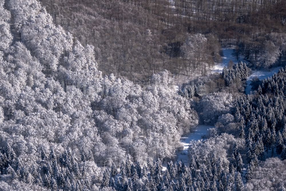 Luftbild Burkardroth - Winterluftbild Laubbaum- Baumspitzen in einem Waldgebiet in Burkardroth im Bundesland Bayern, Deutschland