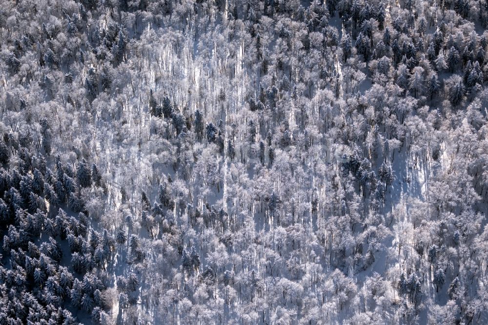 Burkardroth aus der Vogelperspektive: Winterluftbild Laubbaum- Baumspitzen in einem Waldgebiet in Burkardroth im Bundesland Bayern, Deutschland