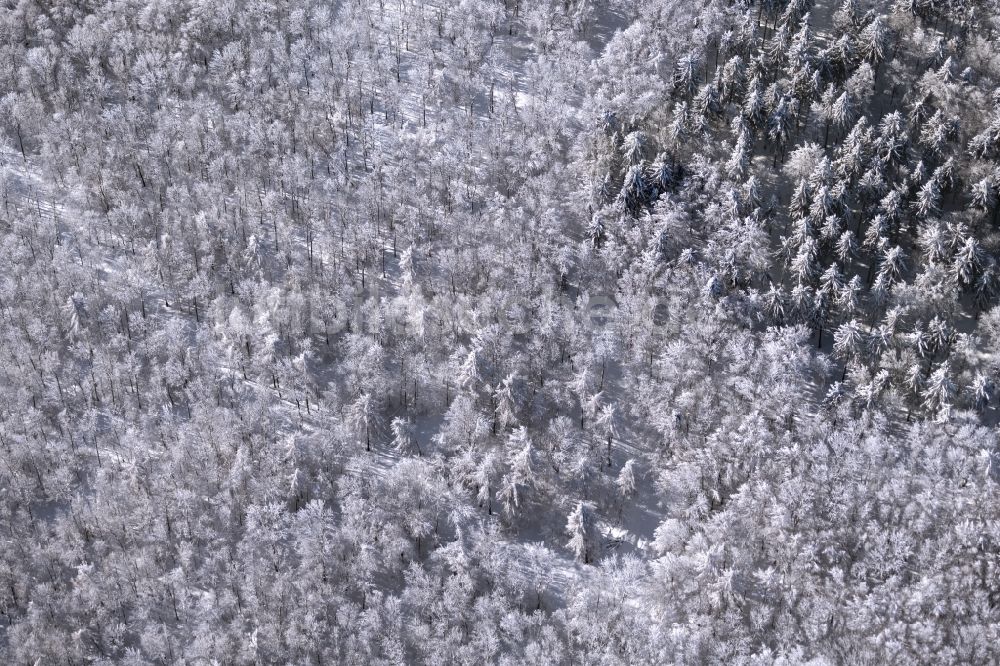 Luftaufnahme Burkardroth - Winterluftbild Laubbaum- Baumspitzen in einem Waldgebiet in Burkardroth im Bundesland Bayern, Deutschland