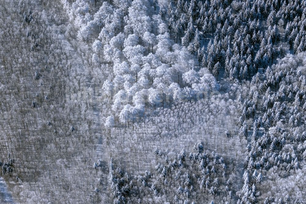Burkardroth von oben - Winterluftbild Laubbaum- Baumspitzen in einem Waldgebiet in Burkardroth im Bundesland Bayern, Deutschland