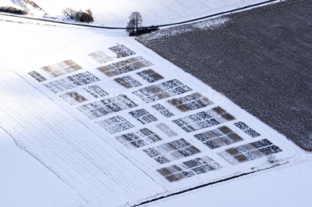 Luftbild Pfreimd - Winterluftbild Saatgutfläche auf landwirtschaftlichen Feldern in Pfreimd im Bundesland Bayern, Deutschland