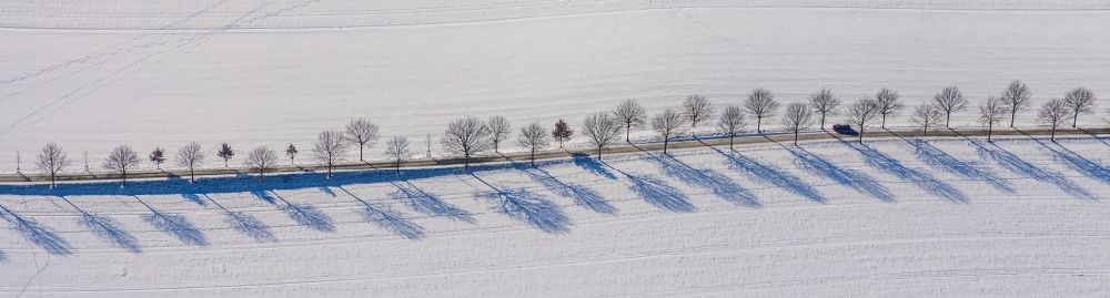 Bochum aus der Vogelperspektive: Winterluftbild Schatten von Bäumen auf einem verschneiten Feld in Bochum im Bundesland Nordrhein-Westfalen, Deutschland