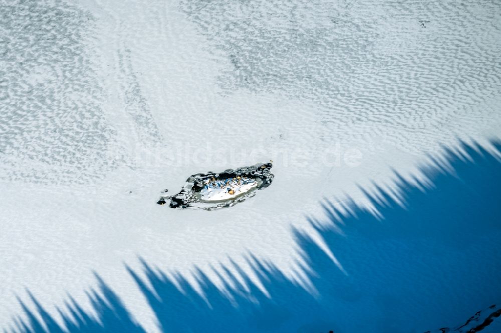 Schluchsee aus der Vogelperspektive: Winterluftbild See- Insel auf dem zugefrorenen Schluchsee in Schluchsee im Bundesland Baden-Württemberg, Deutschland