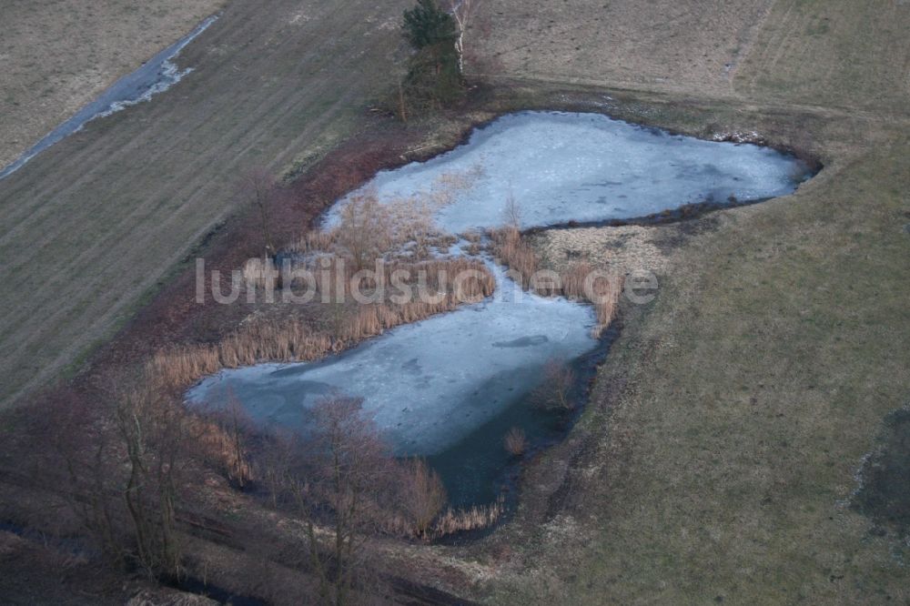 Luftbild Minfeld - Winterluftbild Tümpel und Morast- Wasseroberfläche in einer Teichlandschaft, Biotop in Minfeld im Bundesland Rheinland-Pfalz