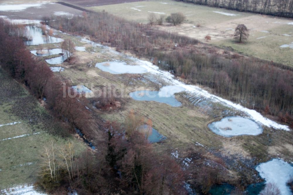 Luftaufnahme Minfeld - Winterluftbild Tümpel und Morast- Wasseroberfläche in einer Teichlandschaft, Biotop in Minfeld im Bundesland Rheinland-Pfalz