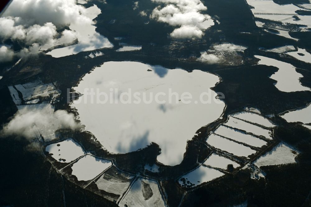 Rechlin von oben - Winterluftbild Uferbereiche des Sees Woterfitzsee in einem Waldgebiet in Rechlin im Bundesland Mecklenburg-Vorpommern, Deutschland