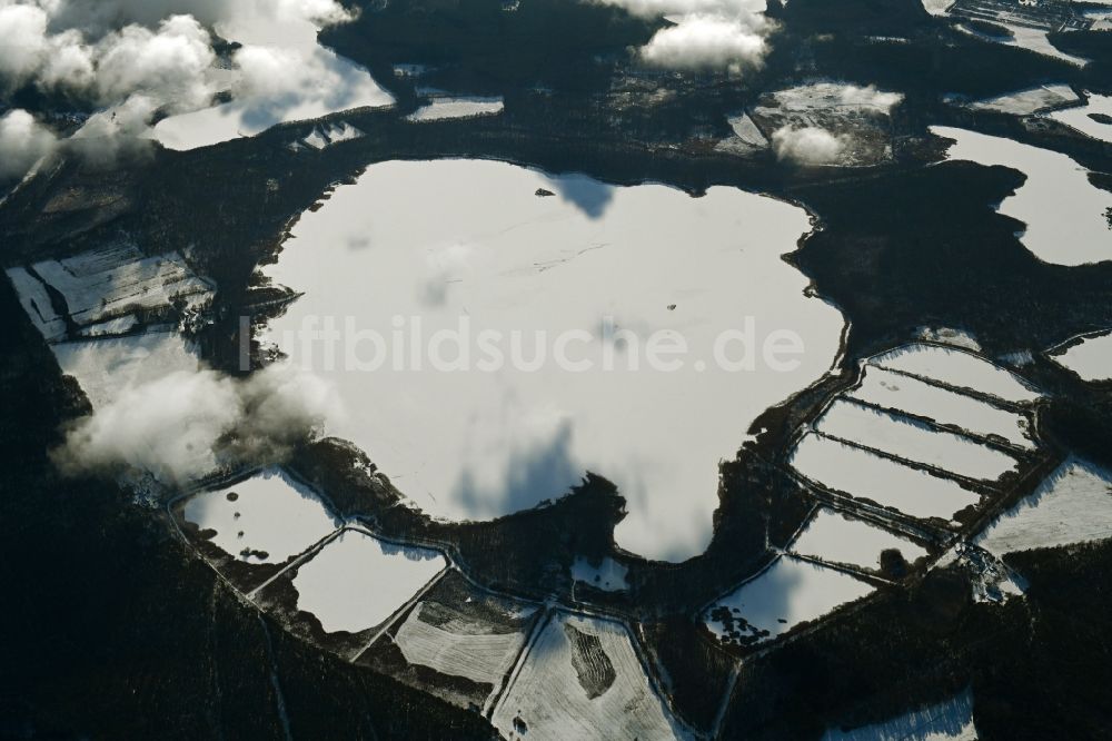 Rechlin aus der Vogelperspektive: Winterluftbild Uferbereiche des Sees Woterfitzsee in einem Waldgebiet in Rechlin im Bundesland Mecklenburg-Vorpommern, Deutschland