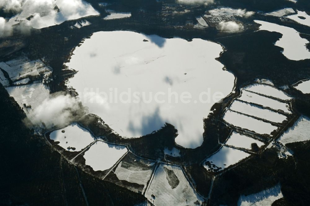 Luftbild Rechlin - Winterluftbild Uferbereiche des Sees Woterfitzsee in einem Waldgebiet in Rechlin im Bundesland Mecklenburg-Vorpommern, Deutschland