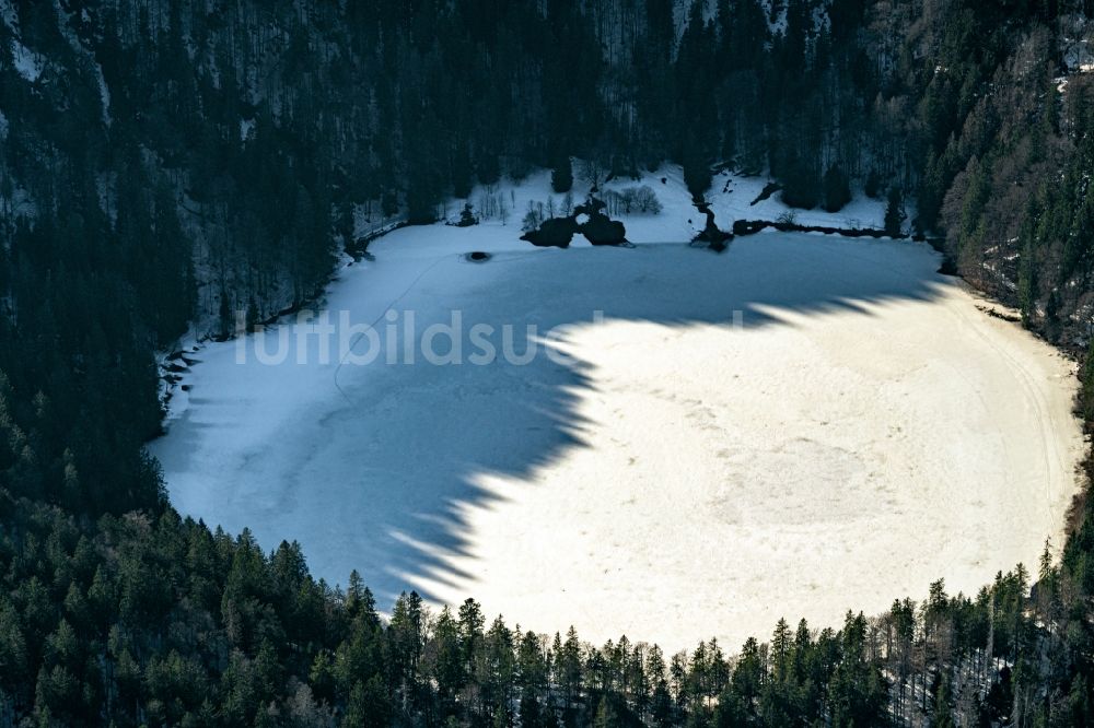 Luftbild Hinterzarten - Winterluftbild Uferbereiche des zugefrorenen Sees Feldsee in Feldberg im Schwarzwald im Bundesland Baden-Württemberg