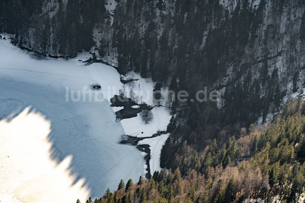 Luftbild Hinterzarten - Winterluftbild Uferbereiche des zugefrorenen Sees Feldsee in Feldberg im Schwarzwald im Bundesland Baden-Württemberg