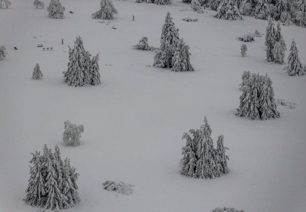 Winterberg von oben - Winterluftbild Vereinzelt stehende Nadelbäume auf dem Kahlen Asten in Winterberg im Bundesland Nordrhein-Westfalen, Deutschland