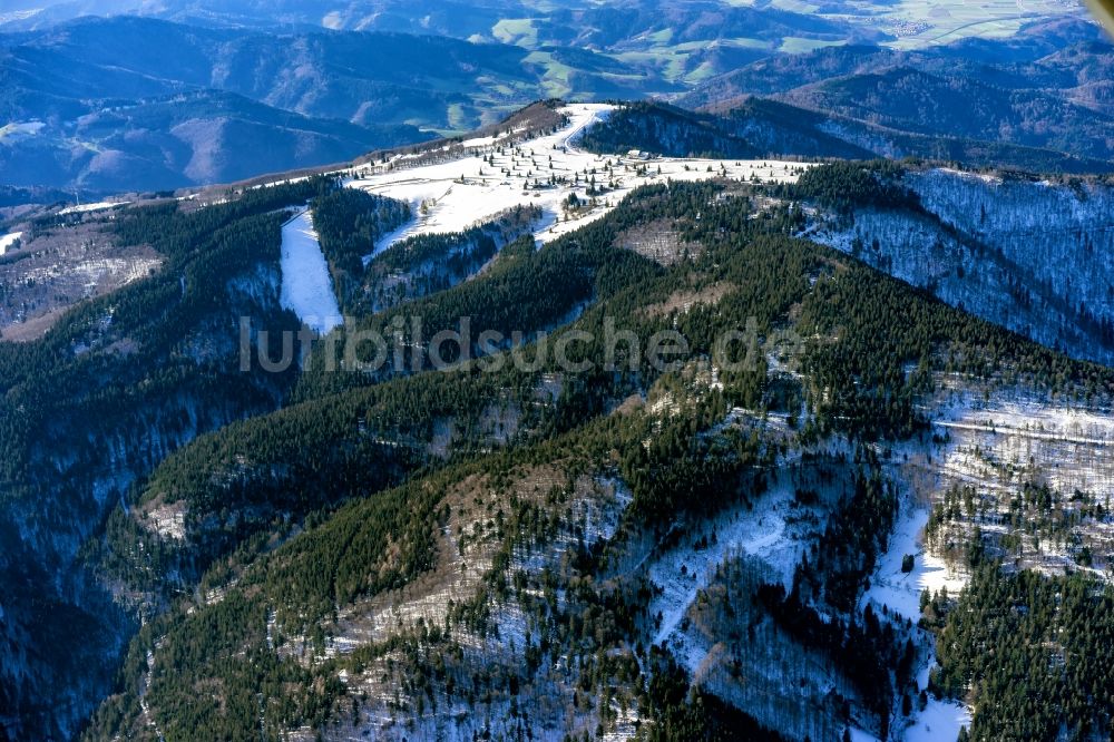 Luftbild Waldkirch - Winterluftbild Wald und Berglandschaft am Kandel in Waldkirch im Bundesland Baden-Württemberg, Deutschland
