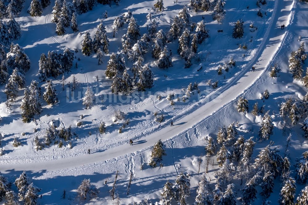 Luftaufnahme Schierke - Winterluftbild Wanderweg mit Baumspitzen in einem Waldgebiet in Schierke im Bundesland Sachsen-Anhalt, Deutschland