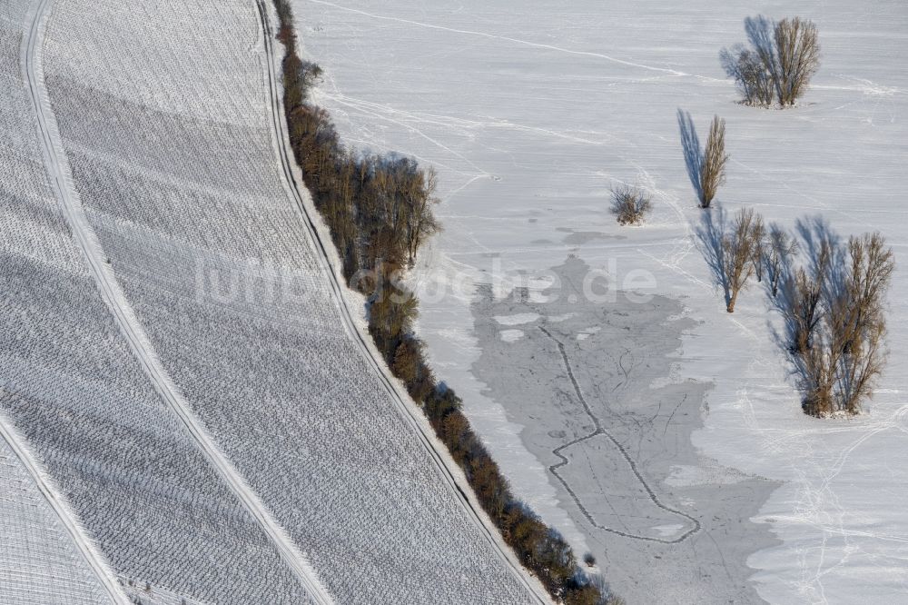 Luftaufnahme Dettelbach - Winterluftbild Weinbergs- Landschaft der Winzer- Gebiete in Dettelbach im Bundesland Bayern, Deutschland