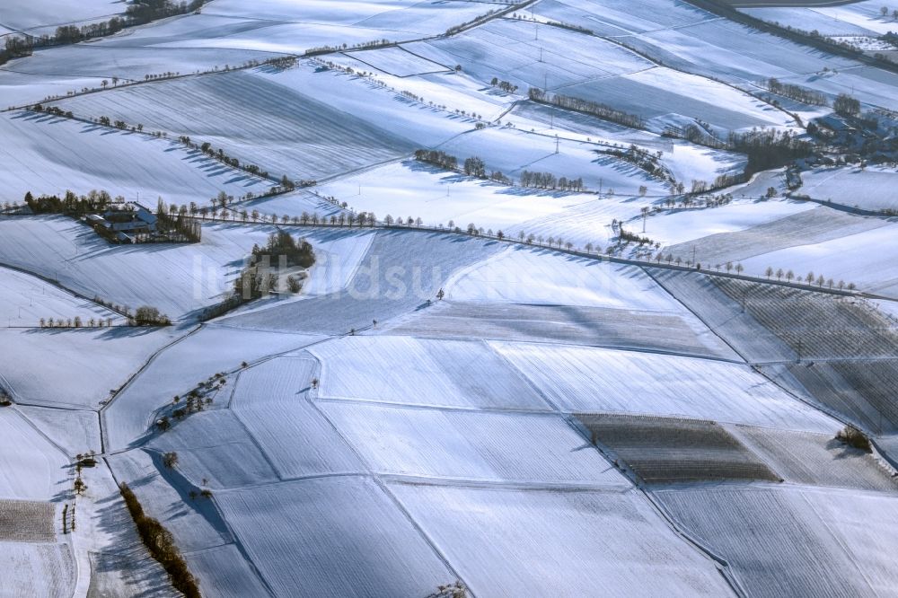 Zweiflingen von oben - Winterluftbild Weinbergs- Landschaft der Winzer- Gebiete in Zweiflingen im Bundesland Baden-Württemberg, Deutschland