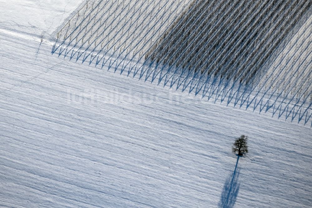 Luftbild Zweiflingen - Winterluftbild Weinbergs- Landschaft der Winzer- Gebiete in Zweiflingen im Bundesland Baden-Württemberg, Deutschland