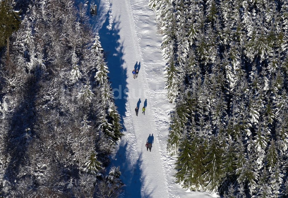 Luftaufnahme Hessisch Lichtenau - Winterwanderer zwischen winterlich schneebedeckte Baumspitzen in einem Waldgebiet in Hessisch Lichtenau im Bundesland Hessen
