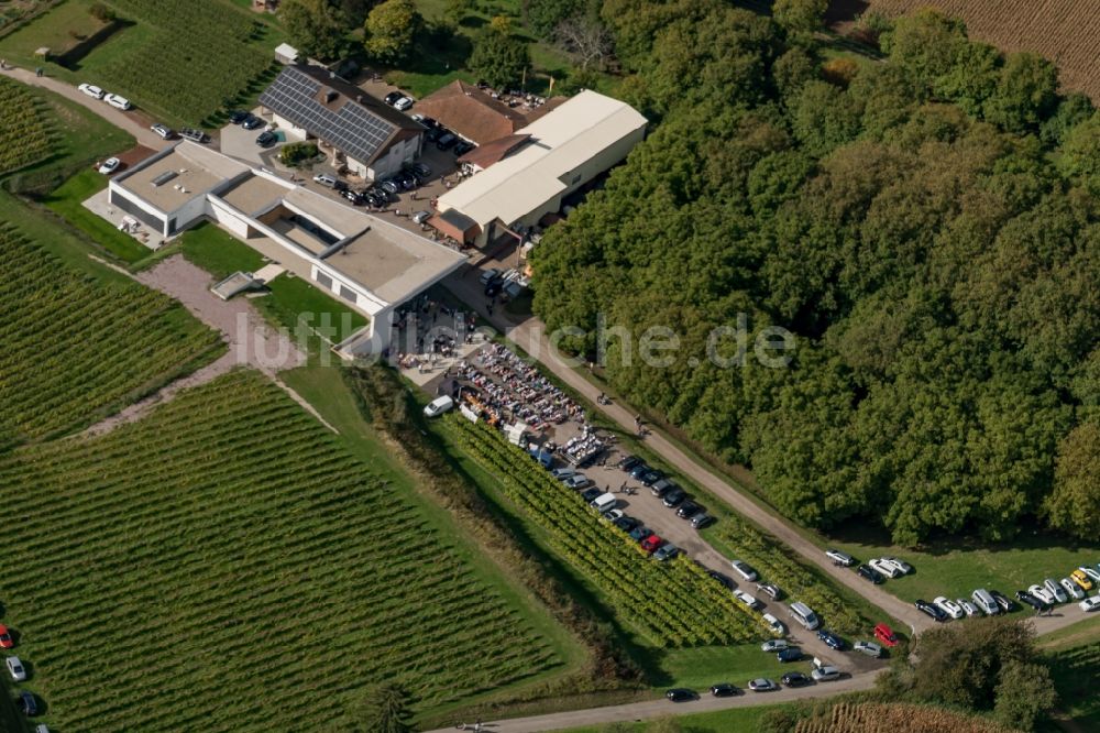 Luftaufnahme Ettenheim - Winzer Fest in der Weinbergs- Landschaft der Winzer- Gebiete in Ettenheim im Bundesland Baden-Württemberg, Deutschland