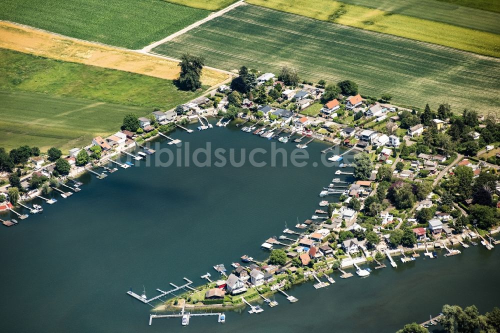 Eich von oben - Wochenendhausgebiet und Uferbereiche Eicher See am Rhein im Ortsteil Eicher See in Eich im Bundesland Rheinland-Pfalz