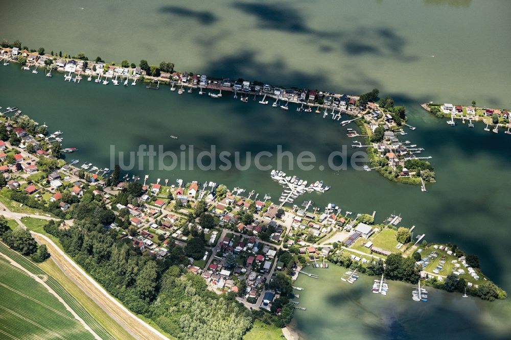 Luftaufnahme Eich - Wochenendhausgebiet und Uferbereiche Eicher See am Rhein im Ortsteil Eicher See in Eich im Bundesland Rheinland-Pfalz