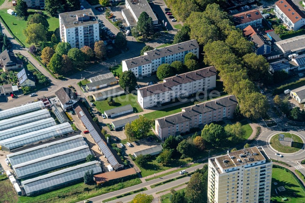 Luftbild Lahr/Schwarzwald - Wohn- und Geschäftshaus Viertel entlang Dinglingen in Lahr/Schwarzwald im Bundesland Baden-Württemberg, Deutschland