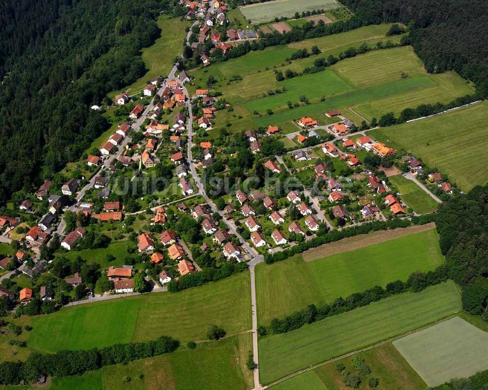 Bad Liebenzell von oben - Wohngebiet einer Einfamilienhaus- Siedlung in Bad Liebenzell im Bundesland Baden-Württemberg, Deutschland