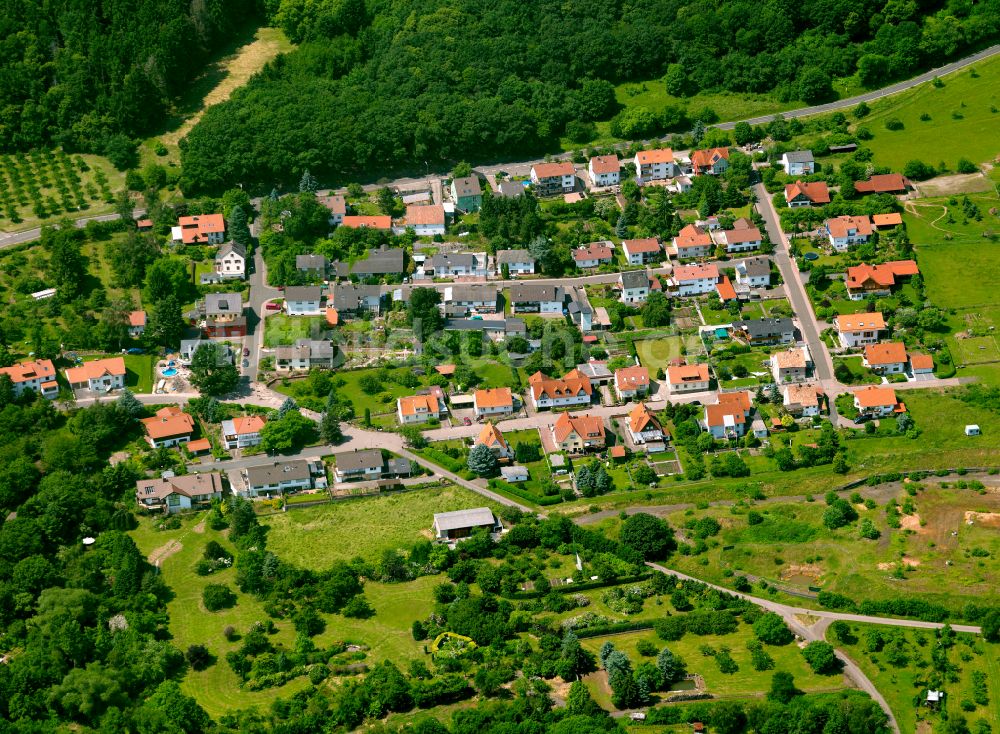 Luftaufnahme Dannenfels - Wohngebiet einer Einfamilienhaus- Siedlung in Dannenfels im Bundesland Rheinland-Pfalz, Deutschland