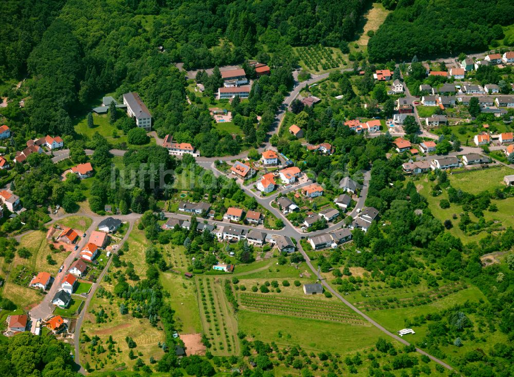 Dannenfels von oben - Wohngebiet einer Einfamilienhaus- Siedlung in Dannenfels im Bundesland Rheinland-Pfalz, Deutschland