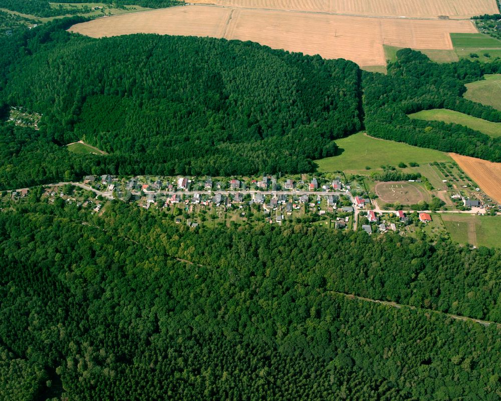 Gera aus der Vogelperspektive: Wohngebiet einer Einfamilienhaus- Siedlung in Gera im Bundesland Thüringen, Deutschland