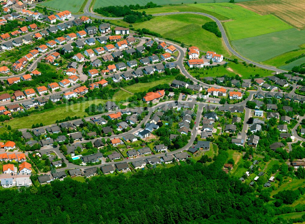 Haide von oben - Wohngebiet einer Einfamilienhaus- Siedlung in Haide im Bundesland Rheinland-Pfalz, Deutschland