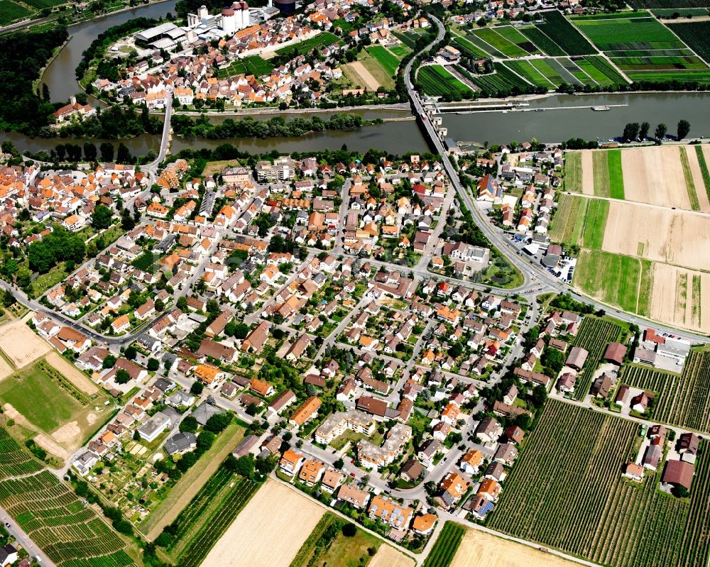Lauffen am Neckar von oben - Wohngebiet einer Einfamilienhaus- Siedlung in Lauffen am Neckar im Bundesland Baden-Württemberg, Deutschland
