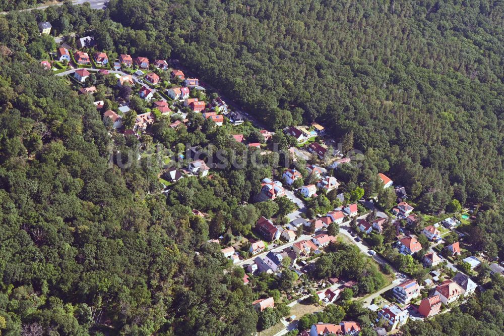 Luftaufnahme Potsdam - Wohngebiet einer Einfamilienhaus- Siedlung im Ortsteil Klein Glienicke in Potsdam im Bundesland Brandenburg, Deutschland