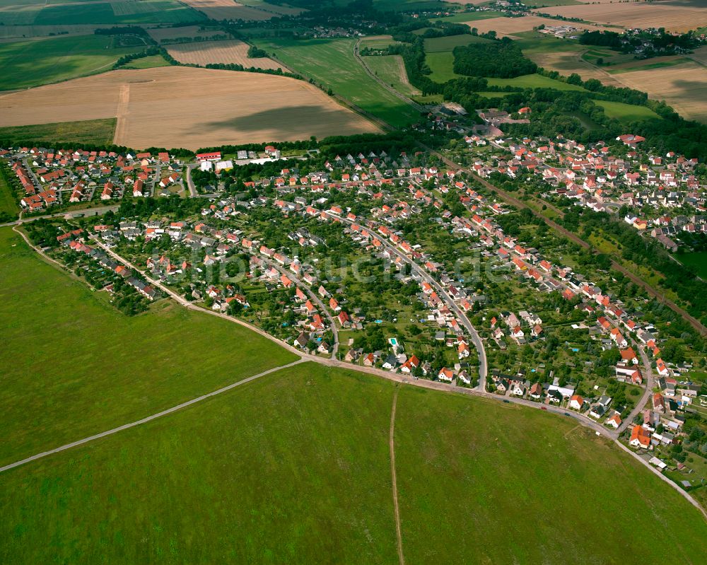 Riesa aus der Vogelperspektive: Wohngebiet einer Einfamilienhaus- Siedlung in Riesa im Bundesland Sachsen, Deutschland