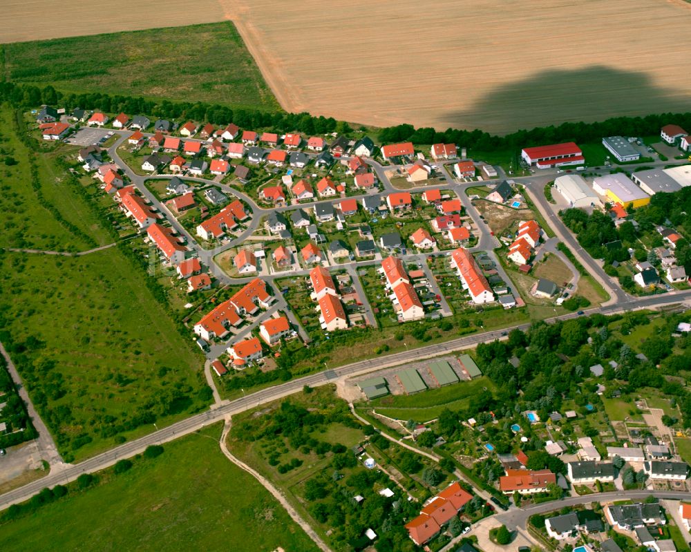Luftbild Riesa - Wohngebiet einer Einfamilienhaus- Siedlung in Riesa im Bundesland Sachsen, Deutschland