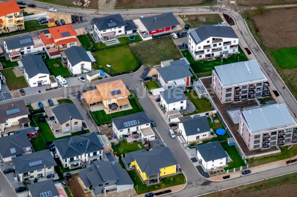 Luftaufnahme Rust - Wohngebiet einer Einfamilienhaus- Siedlung in Rust im Bundesland Baden-Württemberg, Deutschland